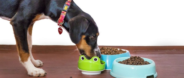 Croquettes pour chiens sans céréales